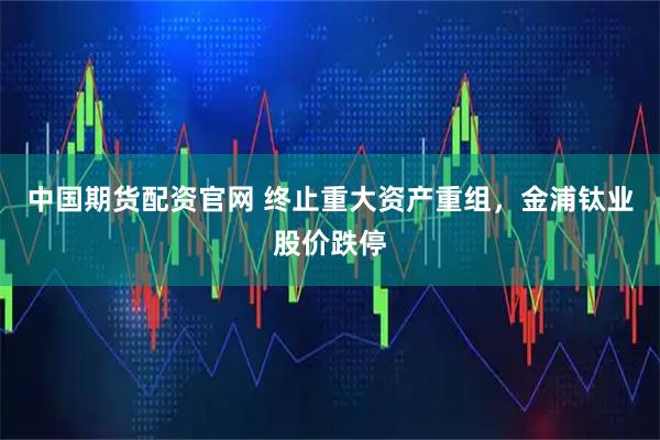 中国期货配资官网 终止重大资产重组，金浦钛业股价跌停