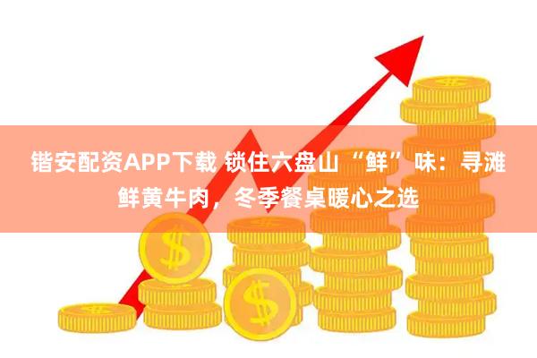 锴安配资APP下载 锁住六盘山 “鲜” 味：寻滩鲜黄牛肉，冬季餐桌暖心之选