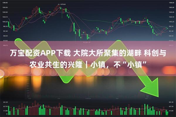 万宝配资APP下载 大院大所聚集的湖畔 科创与农业共生的兴隆｜小镇，不“小镇”